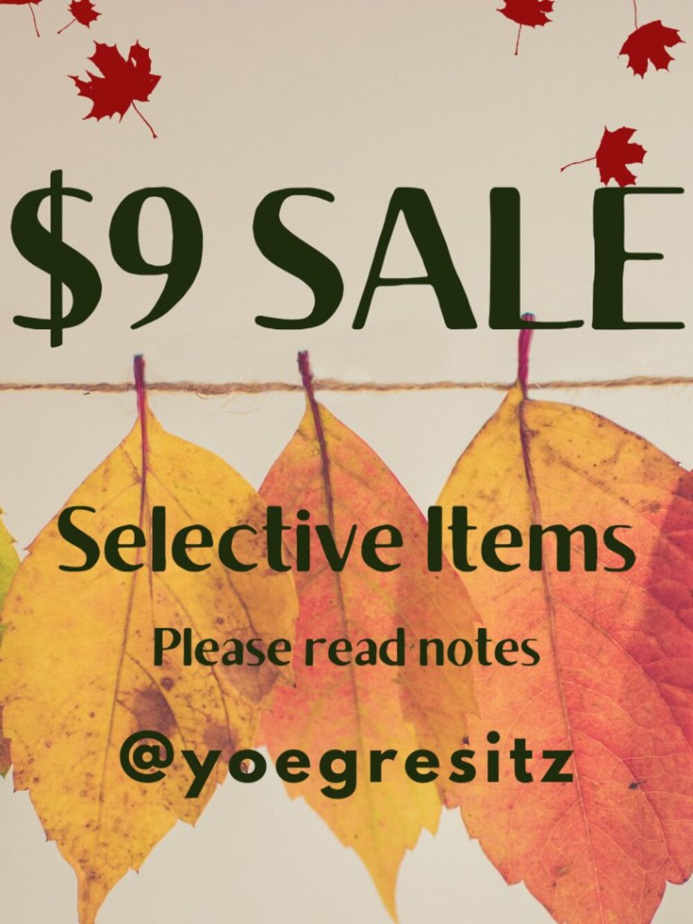 SALE $9 - Please Read Notes
